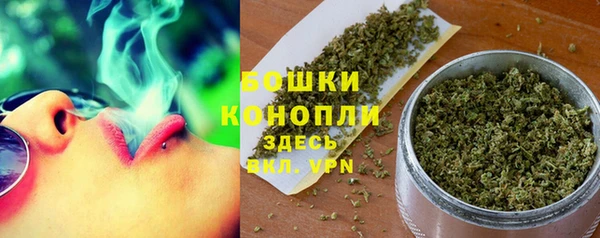 шишки Лабытнанги