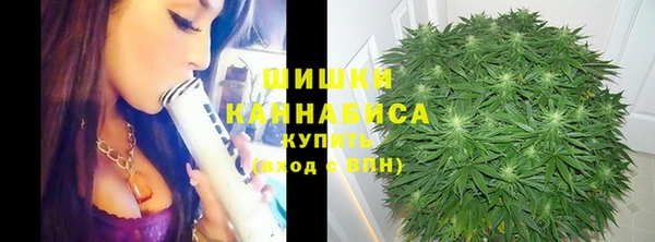 соль ск Балахна